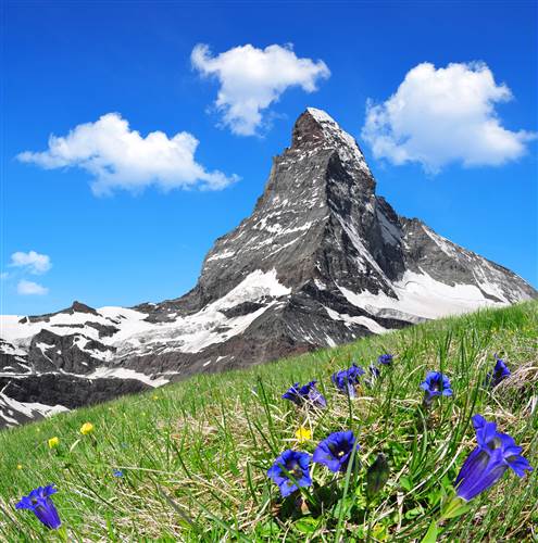 Fototapete nach Maß