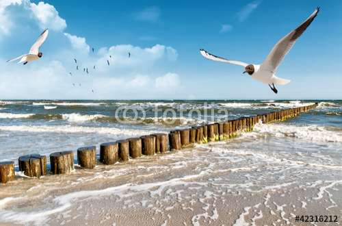 Fototapete Nordsee, Motiv: 42316212