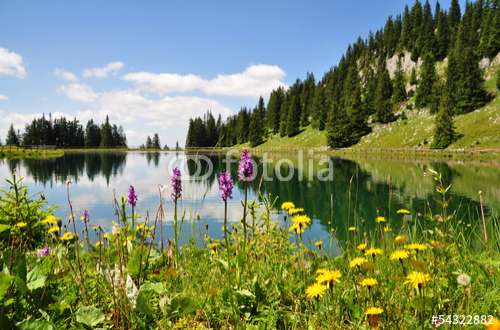 Fototapete Landschaft, Motiv: 54322882
