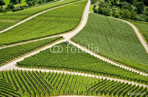 Fototapete Landschaften, Motiv: 58358011