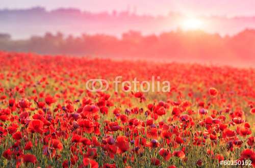Fototapete Landschaft, Motiv: 60150152