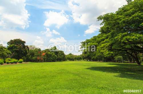 Fototapete Landschaft, Motiv: 65046957