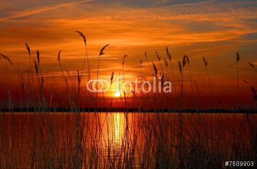 Fototapete Sonnenuntergang, Motiv: 7509903